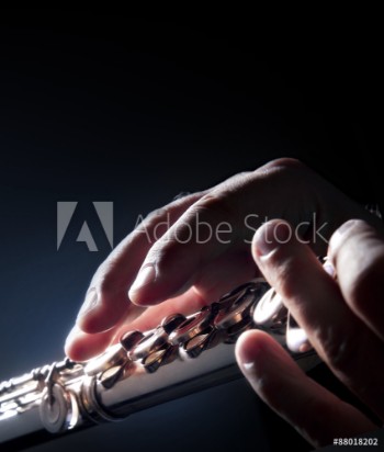 Bild på Playing the flute Closeup